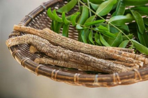 怎么辨别香花崖豆藤, 香花崖豆藤图片